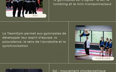 Passionné de gym ? Viens découvrir la Teamgym !
